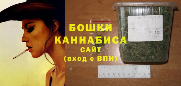 ГАЛЛЮЦИНОГЕННЫЕ ГРИБЫ Верея