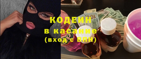 ГАЛЛЮЦИНОГЕННЫЕ ГРИБЫ Верея