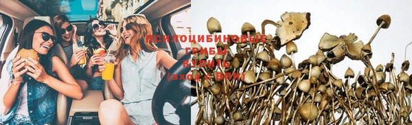 ГАЛЛЮЦИНОГЕННЫЕ ГРИБЫ Верхний Тагил
