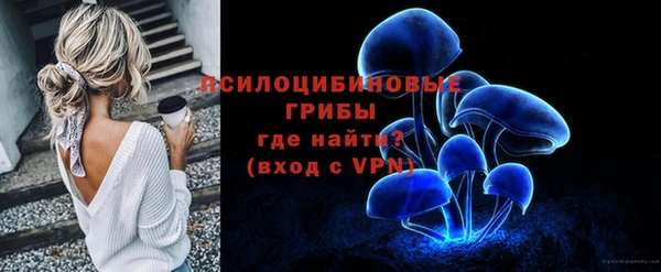 ГАЛЛЮЦИНОГЕННЫЕ ГРИБЫ Верея