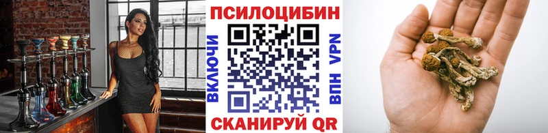 Галлюциногенные грибы мицелий  Вихоревка 